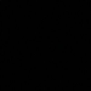 Meet your Posher, Ariana